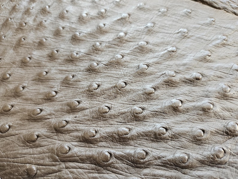 May include: A light brown ostrich leather hide featuring a distinct pattern of raised quill follicles across the surface. The texture is characterized by a series of small, rounded bumps arranged in rows, creating a tactile and organic appearance.