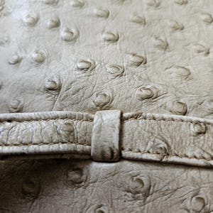May include: A light beige textured material with a distinct quill pattern resembling ostrich leather. A horizontal strap with matching stitching and a central loop runs across the surface, creating a layered effect with the textured base.