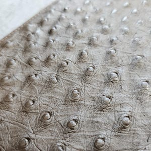 May include: A close-up view of light brown ostrich leather featuring a distinct quill pattern with raised bumps across the surface. The texture shows natural variations and fine lines between the circular quill follicles in a neutral tan tone.