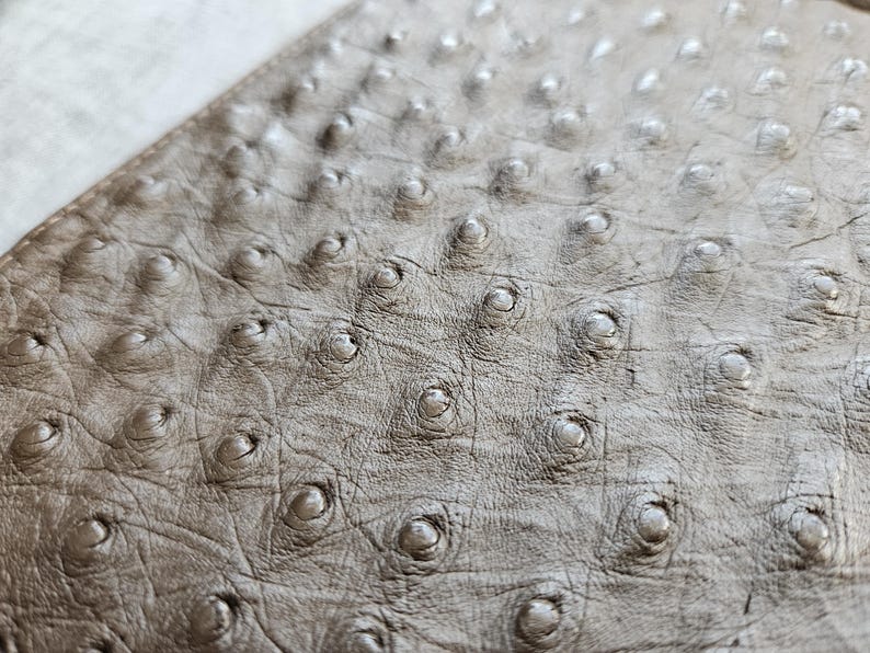 May include: A close-up view of light brown ostrich leather featuring a distinct quill pattern with raised bumps across the surface. The texture shows natural variations and fine lines between the circular quill follicles in a neutral tan tone.