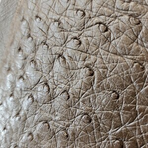May include: A close-up view of brown leather material featuring a distinct textured pattern with raised, circular quill follicles distributed across the surface. The leather displays a matte finish with a network of fine lines and creases.