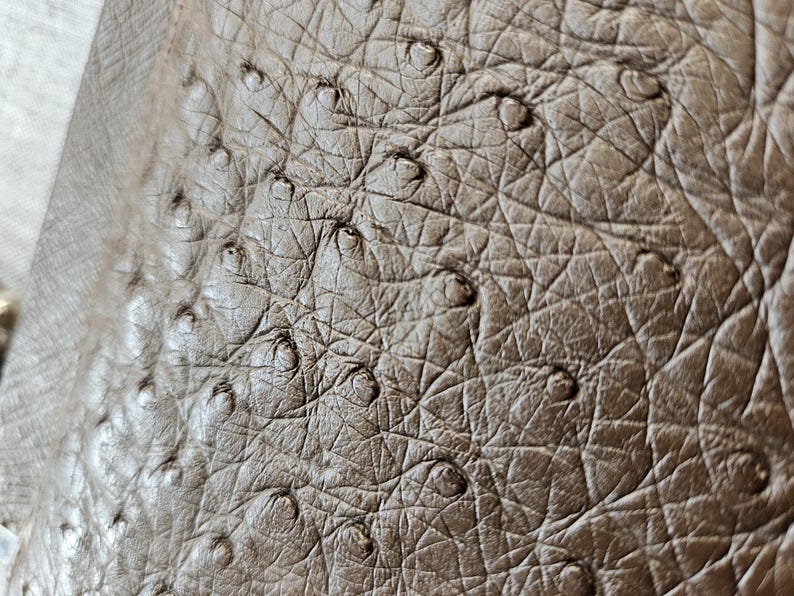 May include: A close-up view of brown leather material featuring a distinct textured pattern with raised, circular quill follicles distributed across the surface. The leather displays a matte finish with a network of fine lines and creases.