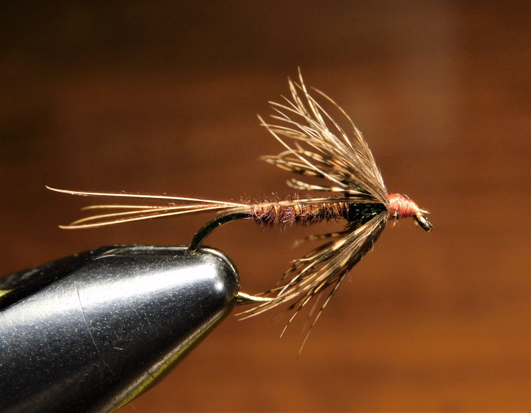 Pheasant Tail Wet Fly Etsy