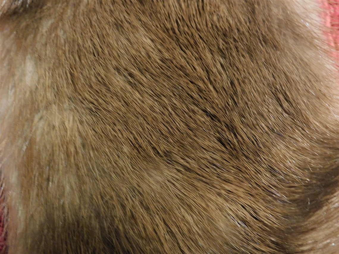 Mink Hides With Tail Etsy