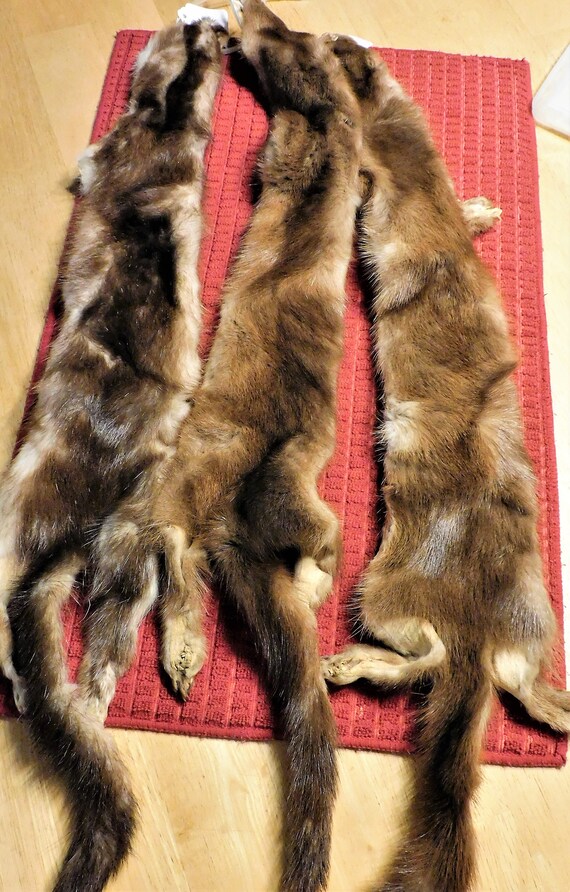 Mink Hides With Tail Etsy