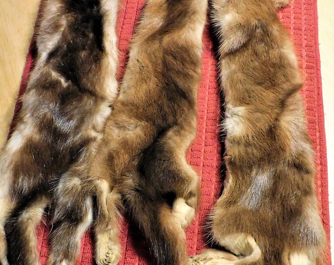 Mink Hides With Tail Etsy