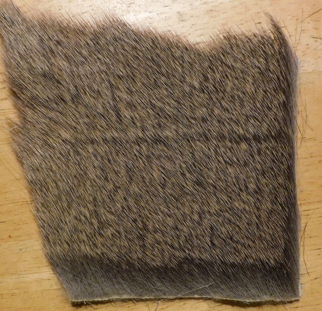 Deer Body Hair, Fine Texture, Medium Color - Etsy