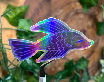 Purple Betta Fish Holographic Vinyl Sticker