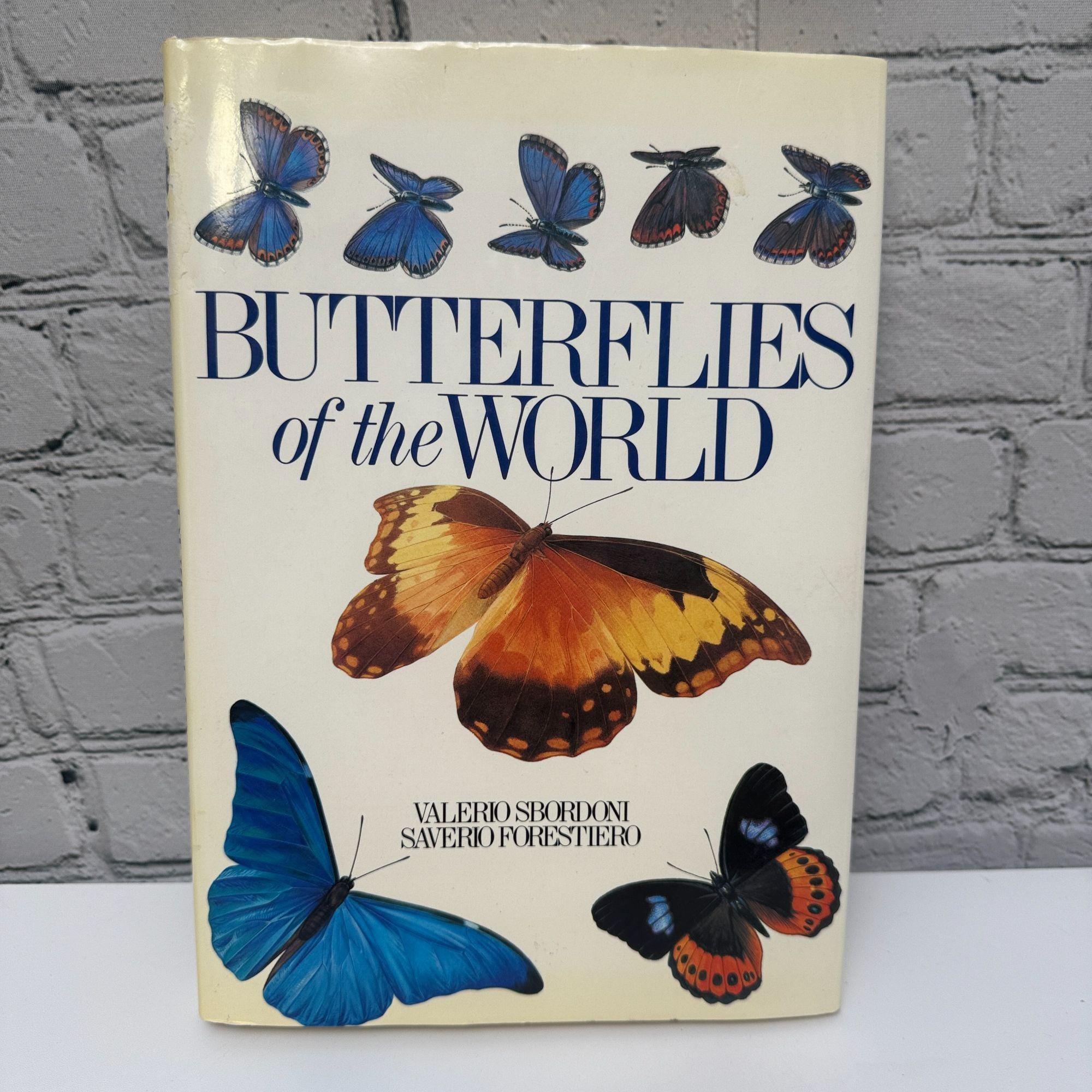 Vintage Illustrated Butterfly Book - Etsy