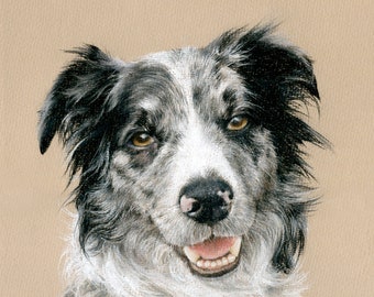 Pet portrait. Detailed, realistic drawing from photo of your dog, cat or horse.