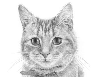 Custom cat portrait. Personalised cat gift. Hand drawing from photo.