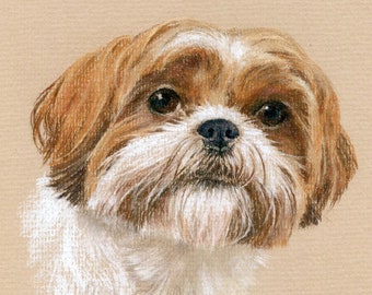 Realistic Pet Portrait. Pastel drawing / painting from photo. by professional artist Margaret Scanlan. Dog / Cat / Horse