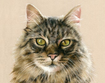 Cat Portrait. Detailed, realistic hand drawn pastel artwork by professional artist.