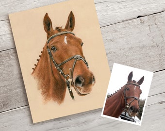 Custom horse portrait drawing.  Pastel painting from photo. Personalised horse gift. Horse Memorial.