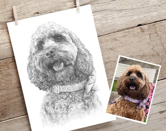 Cockapoo drawing. Pet portrait gift. Maltipoo, Cavapoo, Cavachon, Poodle. Hand drawn portrait from photo.