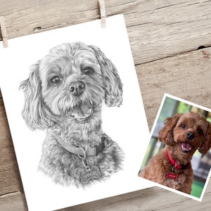 Pet portrait drawing. Detailed, realistic hand drawn custom artwork from photograph. Personalised pet gift. Dog, cat, horse. image 4