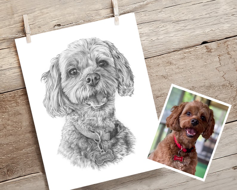 Pet portrait drawing. Detailed, realistic hand drawn custom artwork from photograph. Personalised pet gift. Dog, cat, horse. image 4