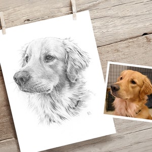 Pet portrait drawing. Detailed, realistic hand drawn custom artwork from photograph. Personalised pet gift. Dog, cat, horse. image 2