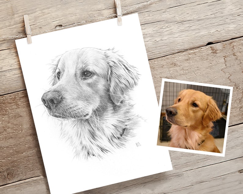 Pet portrait drawing. Detailed, realistic hand drawn custom artwork from photograph. Personalised pet gift. Dog, cat, horse. image 2