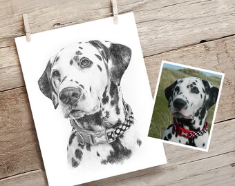 Pet portrait drawing. Detailed, realistic hand drawn artwork from photograph. Dog, cat, horse.