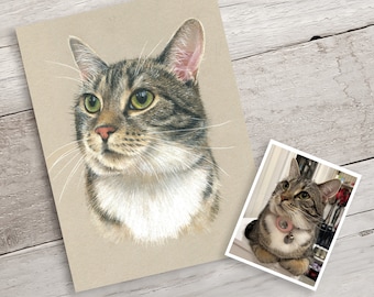 Custom cat Portrait. Detailed, realistic pastel pet drawing / painting from photo. Dog, cat, horse.