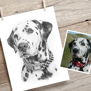 Pet portrait drawing. Detailed, realistic hand drawn custom artwork from photograph. Personalised pet gift. Dog, cat, horse. image 6