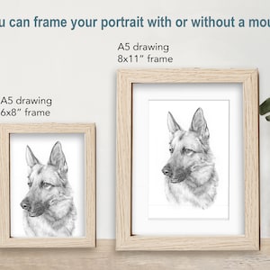 Pet portrait drawing. Detailed, realistic hand drawn custom artwork from photograph. Personalised pet gift. Dog, cat, horse. image 9