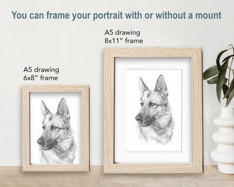 Pet portrait drawing. Detailed, realistic hand drawn custom artwork from photograph. Personalised pet gift. Dog, cat, horse. image 9