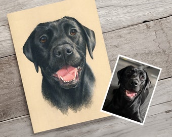 Labrador Portrait. Hand drawn custom artwork of your pet from photograph. Personalised dog painting.