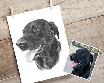 Custom labrador drawing. Detailed, realistic hand drawn pet portrait from photo. Personalised gift for dog lovers and owners.