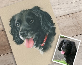 Custom Spaniel Portrait. Hand drawn pastel dog drawing / painting from photograph.