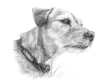 Pet portrait. Custom cat or dog drawing from photo. Hand drawn.