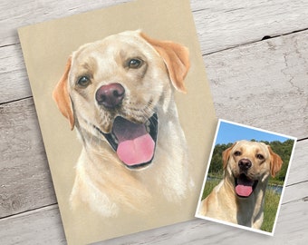 Custom Labrador Portrait. Hand drawn pastel drawing / painting from photograph.