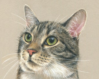 Cat Portrait. Detailed, realistic hand drawn custom pastel drawing / painting from photo. Dog, cat, horse.