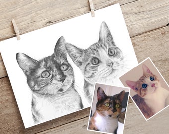 Pet portraits. Hand drawn. dog, cat, any pet. Combine photos.