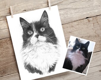 Cat portrait drawing. Custom personalised cat gift. Hand drawn from photo.