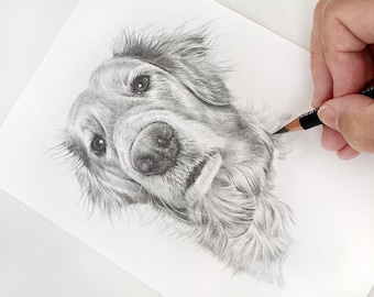 Hand drawn pet portrait. Detailed, realistic pencil drawing from photograph. Personalised Dog, cat, horse gift.