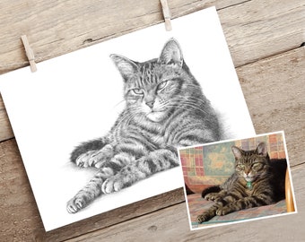 Cat drawing. Custom portrait drawn from photo. Personalised cat gift.