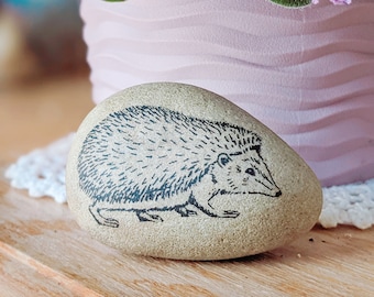 Hedgehog Gifts, Hedgehog Stone Art, Meditation Stone, Cute Animals | Paperweights | Gift For Birthday | Gift For Friend | Friendship Gifts