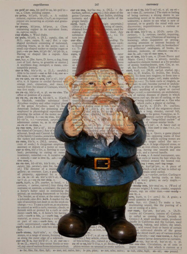 gnome amelie gnome amelie