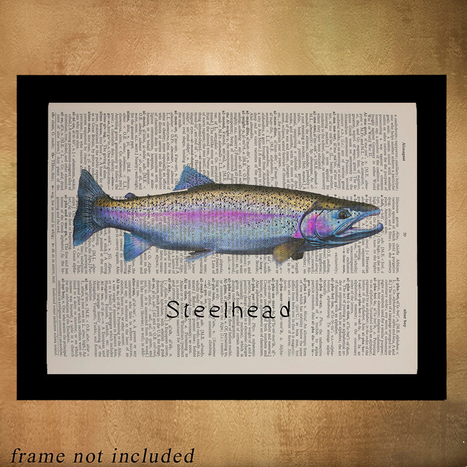 Steelhead Trout Dictionary Art Print Fish Salmon Steelhead Etsy