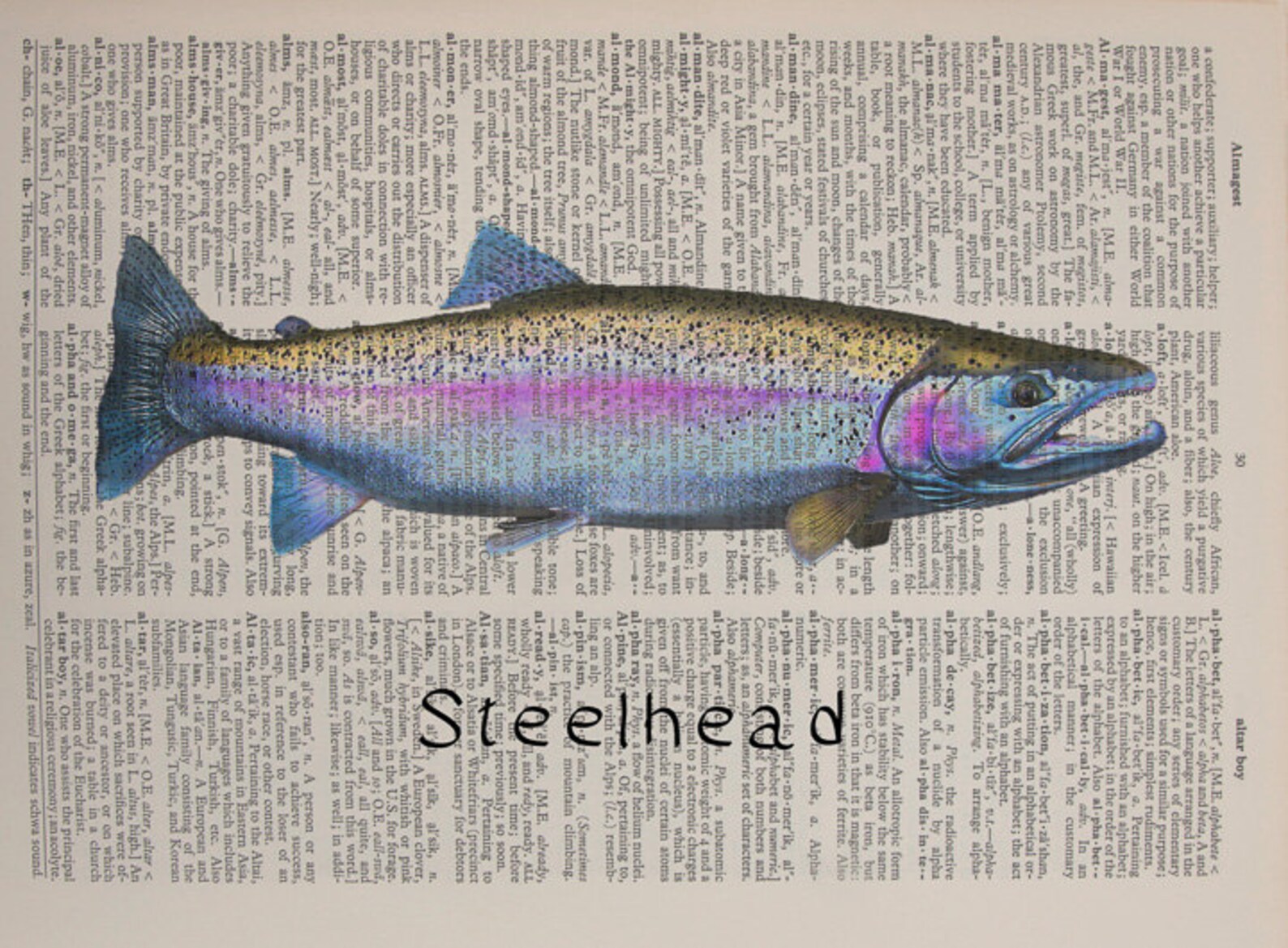 Steelhead Trout Dictionary Art Print Fish Salmon Steelhead Etsy