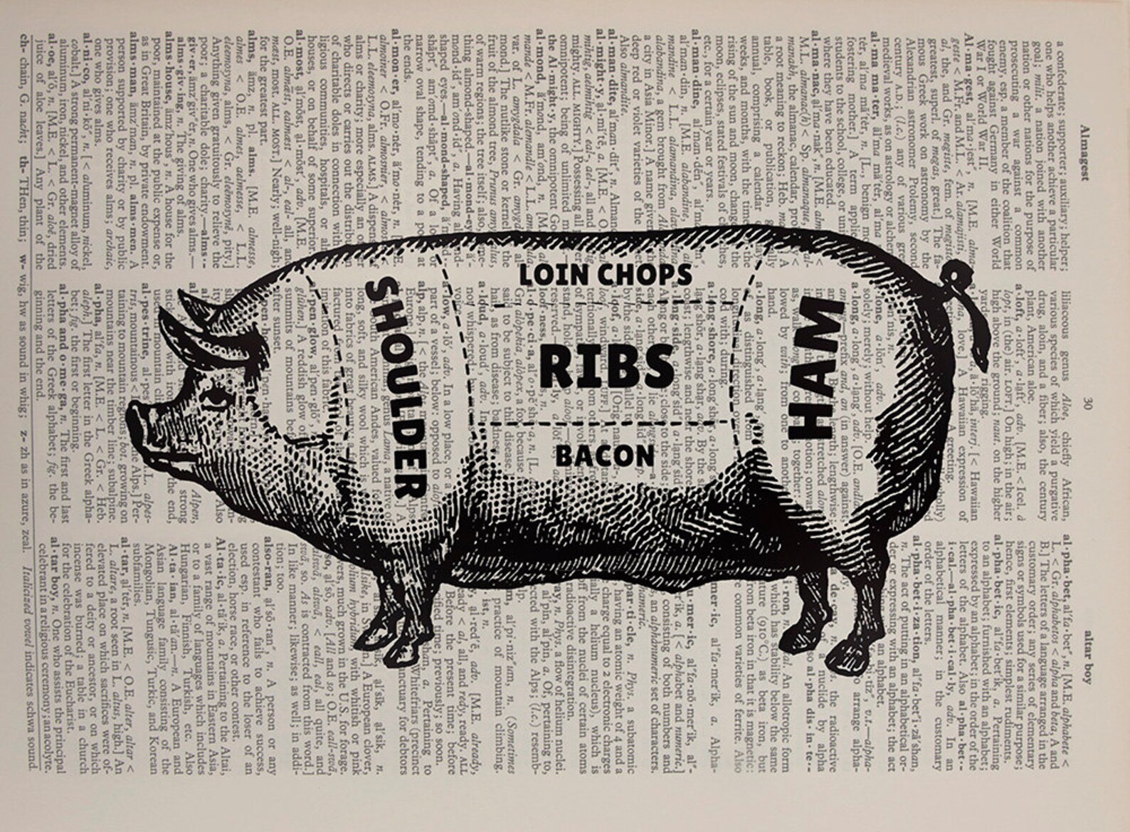 Pig Dictionary Art Print Meat Cuts Chart Pork Hog Meat Etsy