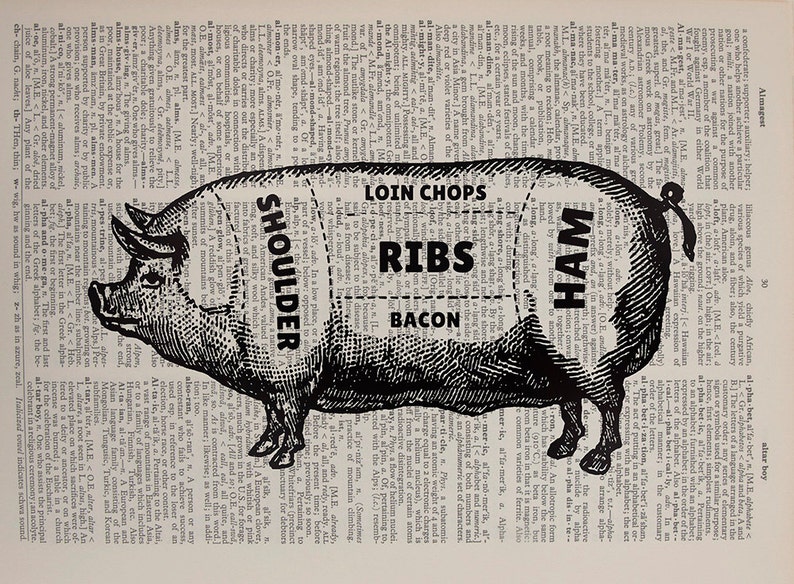 Pig Dictionary Art Print Meat Cuts Chart Pork Hog Meat | Etsy