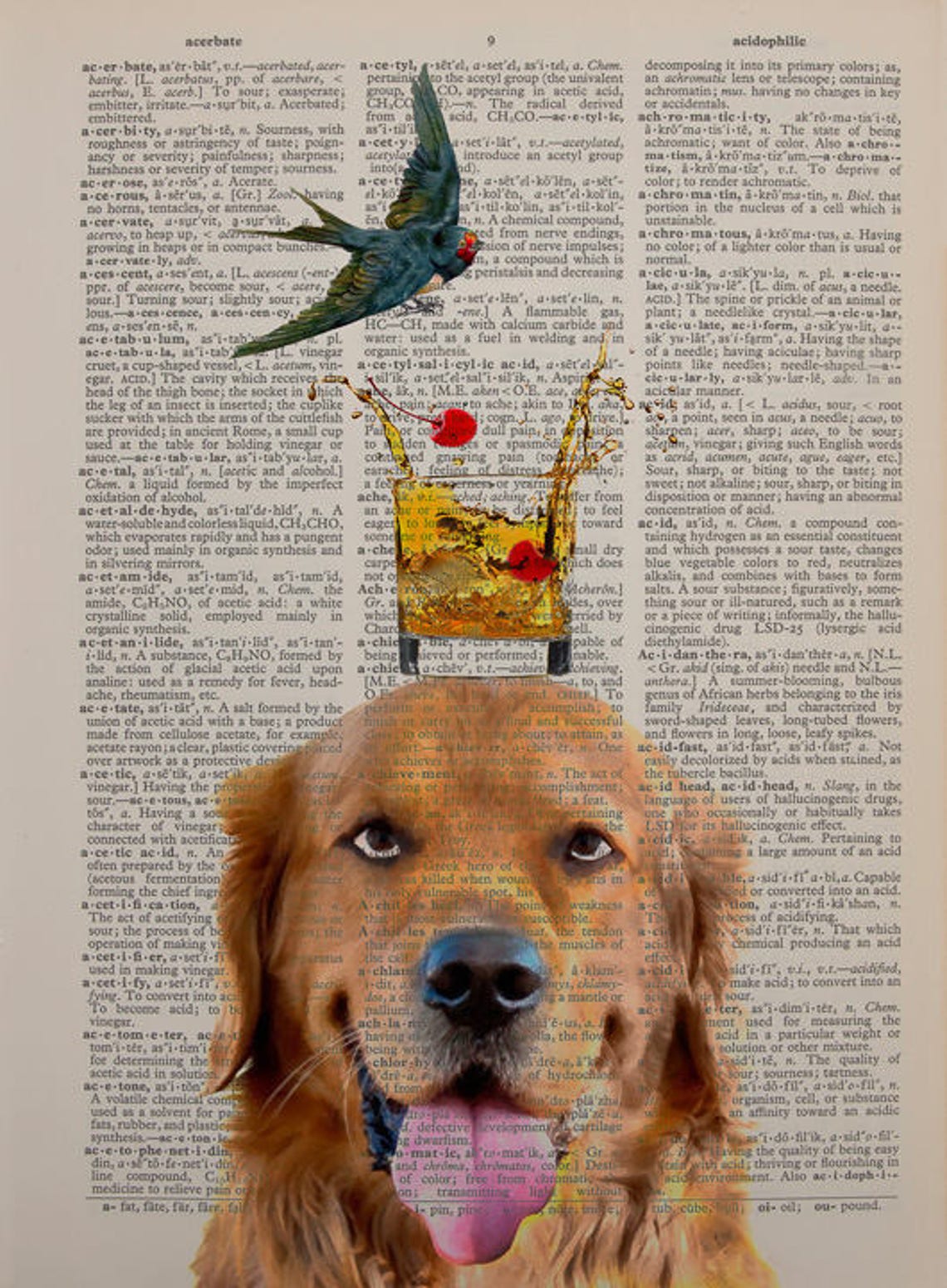 Golden Retriever Art Whiskey Print Dictionary Art Print Bar Etsy
