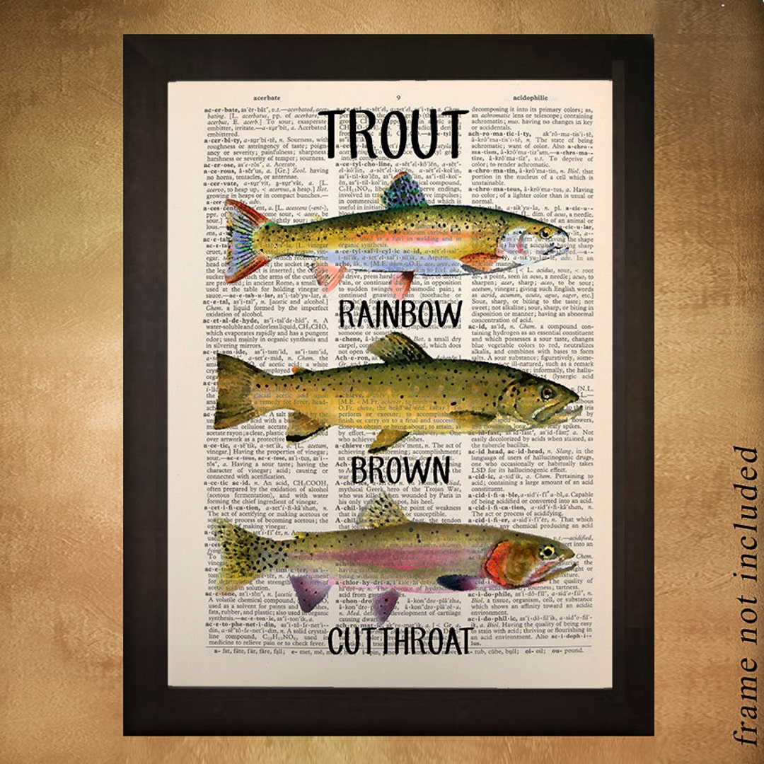 Trout Print on Page From an Upcycled Dictionary Art Print Etsy