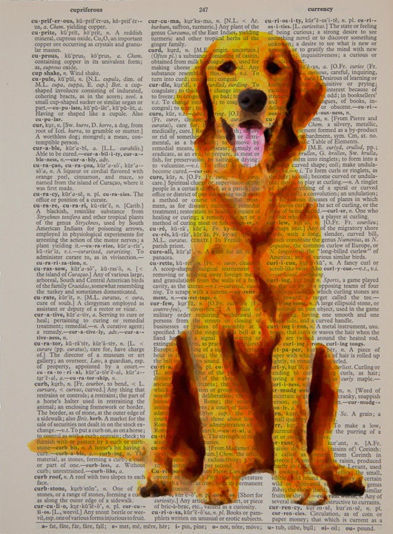 Golden Retriever Dictionary Art Print Dog Pet Animal Wall Art Etsy