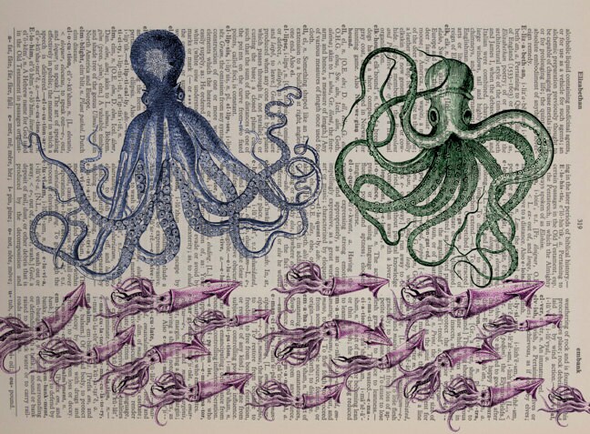 Octopus Squid Dictionary Art Print Calamari Marine Life Wall | Etsy