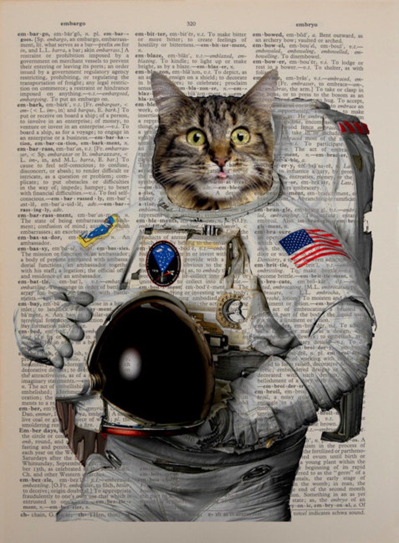 cat astronaut suit