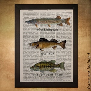 Freshwater Fishing Dictionary Art Print, Fish Muskellunge Muskie
